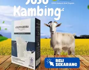 Susu Kambing Untuk Anak Wonosobo,Bpom & Menyehatkan