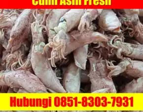 Fresh Segar, Jual Cumi Asin Baby Cumi Purbalingga