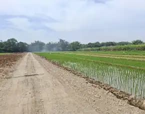 Tanah Kafling Dekat Kota Solo Jawa Tengah Viw Sawah Cantik
