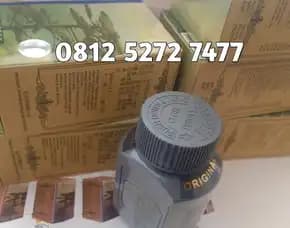 Jual Obat Penggemuk Badan Di Bandung  08125272777 - Kianpi Pil Gold