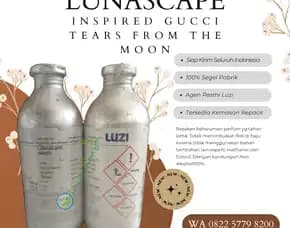 Harga Bibit Parfum Luzi  Tanggamus