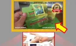 0878-8005-8622 Obat Asam Urat Fase Akut Di Kota Palu