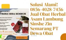 Solusi Alami! 0856-4028-7456 Jual Obat Herbal Asam Lambung Semarang Pt Dewa Obat