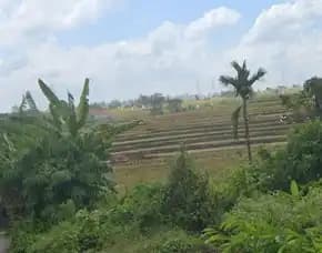 Dijual 6,5 Are, Jl. Raya Tangeb Munggu Kapal Buduk Mengwi Badung