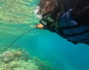 Paket Wisata Karimunjawa 3 Hari 2 Malam Untuk 4 Orang Magelang Karimunjawa Bagus