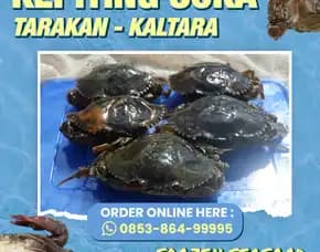 Fresh, Jual Daging Kepiting Kaleng Kabupaten Tanah Laut Jorong