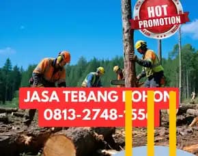 Jasa Tebang Pohon Kokap