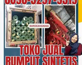 0896-5297-9519 (Bu Diana), Toko Rumput Sintetis Aceh Tamiang Kota Kuala Simpang