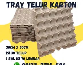 Pusat Tray Telur (Trey Telor) Kirim Ke Sakra Timur Lombok Timur (30)