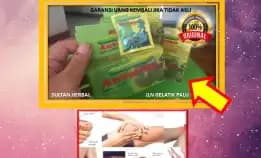 0878-8005-8622 Obat Alami Kolesterol Dan Darah Rendah Di Kota Palu