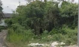 Dijual 4,59 Are, Jl. Gandamayu Pemaron Munggu Kapal Mengwi Badung