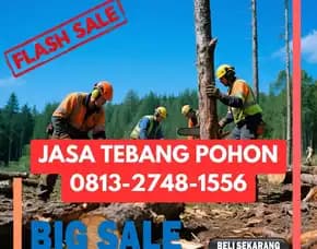 Jasa Tebang Pohon Samigaluh