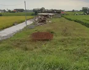 Dikontrakan 6 Are, Jl. Munduk Batu Belan Pantai Seseh Cemagi Mengwi Badung