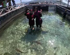 Murah Liburan Karimunjawa 3 Hari 2 Malam Untuk Anak Anak Surabaya Karimunjawa Bagus