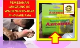Wa: 0878-8005-8622 Obat Kolesterol Baik Diminum Pagi Atau Malam Di Kota Palu
