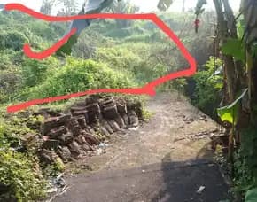 Dijual 22,5 Are, Jl. Cekomaria Cengkilung Peguyangan Kanginpenatih Denpasar