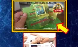 0878-8005-8622 Obat Alami Kolesterol Dan Asam Lambung Di Kota Palu