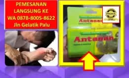 0878-8005-8622 Obat Penurun Kolesterol Tinggi Alami Di Kota Palu