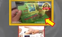 Wa: 0878-8005-8622 Obat Asam Urat Yang Tidak Merusak Ginjal Di Kota Palu