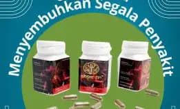 Mukjizat Hijau - 0856-4028-7456 Jual Obat Herbal Kolesterol Sinshe Zin Semaranng Pt Dewa Obat
