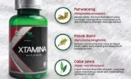 Xtamina Meningkatkan Stamina Pria
