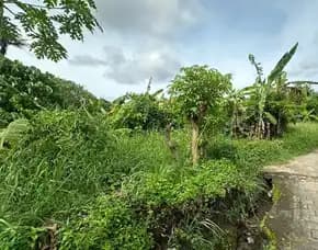 Dijual 13 Are, Jl. Beteng Sari Padma Seroja Tonja Denpasar Utara