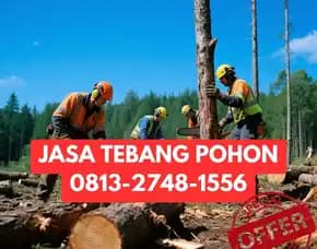 Jasa Tebang Pohon Wates