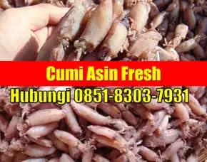 Fresh Segar, Jual Cumi Asin Baby Cumi Cilegon