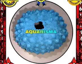 1 Pcs Cangkang Bulu Babi Blue Echinus Tylodes Echinoidea Sea Urchins Grade A+