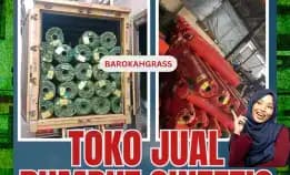 0896-5297-9519 (Bu Diana), Agen Rumput Sintetis Padang Sabu Dianah Lunto Barangin