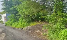 Dikontrakan & Dijual 4,55 Are, Jl. Munduk Kalampuak Batu Bolong Subak Canggu Kuta Utara