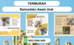 Termurah, 0822-2000-3882 Distributor Samuraten Asam Urat Bontang