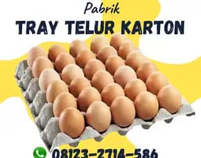 Papan Telor Karton Kardus Harga Ekonomis Selemadeg Barat Tabanan Bali (33)