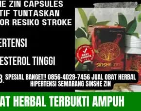 Solusi Rakyat!! 0856-4028-7456 Jual Obat Herbal Hipertensi Semarang Sinshe Zin