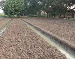 Jual Tanah Sawah Murah Daerah Cibeber Kota Cilegon Shm
