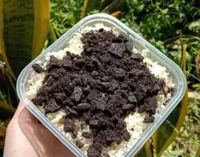 Brownies Nice Lumer Di Semarang