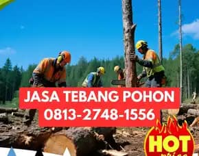 Jasa Tebang Pohon Paliyan