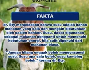 Jual Susu Kambing Murni Terdekat Pontianak,Murah & Bpom, Pt. Etsa Bregas Makmur