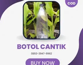 Cuci Gudang Harga Botol Cantik 350 Ml Bantarbolang, Agen Botol Propolis 10 Ml Segel Ulujami, Botol Propolis 10 Ml Non Segel Taman