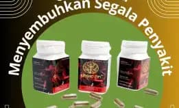 Tonik Sakral - 0856-4028-7456 Jual Obat Herbal Rheumatik Sinshe Zin Semarang Pt Dewa Obat