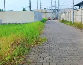 Disewakan Tanah 10 Are Dkt By Pass Ngurah Rai Mertasari Denpasar Bali
