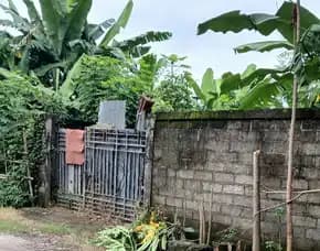 Dijual 4,8 Are, Jl. Bung Tomo X Gatsu Barat Pemecutan Kaja Denpasar