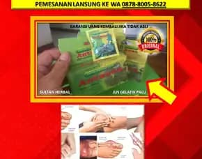 Wa: 0878-8005-8622 Obat Kolesterol Herbal Dr Zaidul Akbar Di Kota Palu