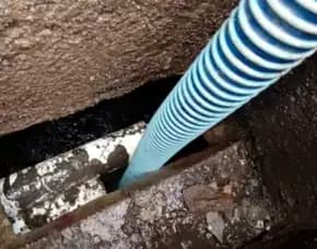 Ayo Sedot Wc Greged - Murah
