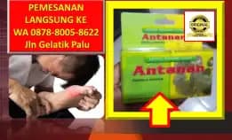 Wa: 0878-8005-8622 Obat Kolesterol Jahat Paling Ampuh Di Kota Palu
