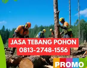 Jasa Tebang Pohon Sewon