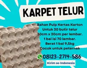 Tempat Telor Unik (Tray Telur) - Beli Sekarang Kirim Ke Batu Layar Lombok Barat (29)
