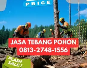 Jasa Tebang Pohon Berbah