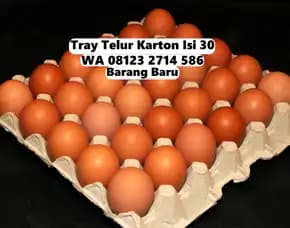 Nampan Telur Karton Kardus Beli Sekarang Kediri Tabanan Bali (76)