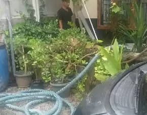 Sedot Wc Murah Buayan